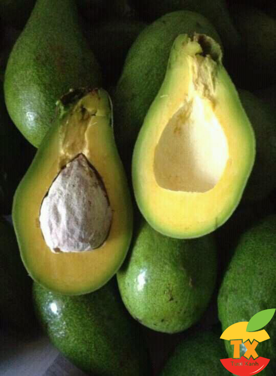 10 lợi ích của quả bơ