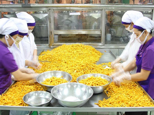 Nở rộ dự án chế biến rau quả